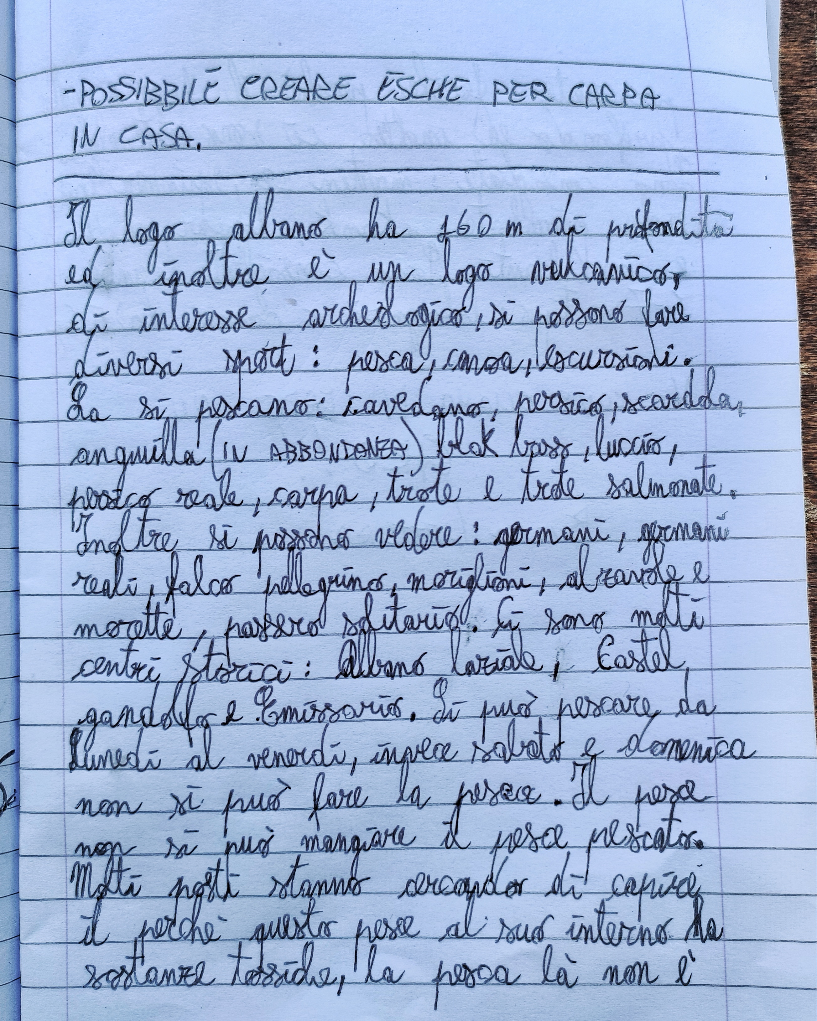 Bella copia di una ricerca sul lago Albano per il giornalino scolastico.