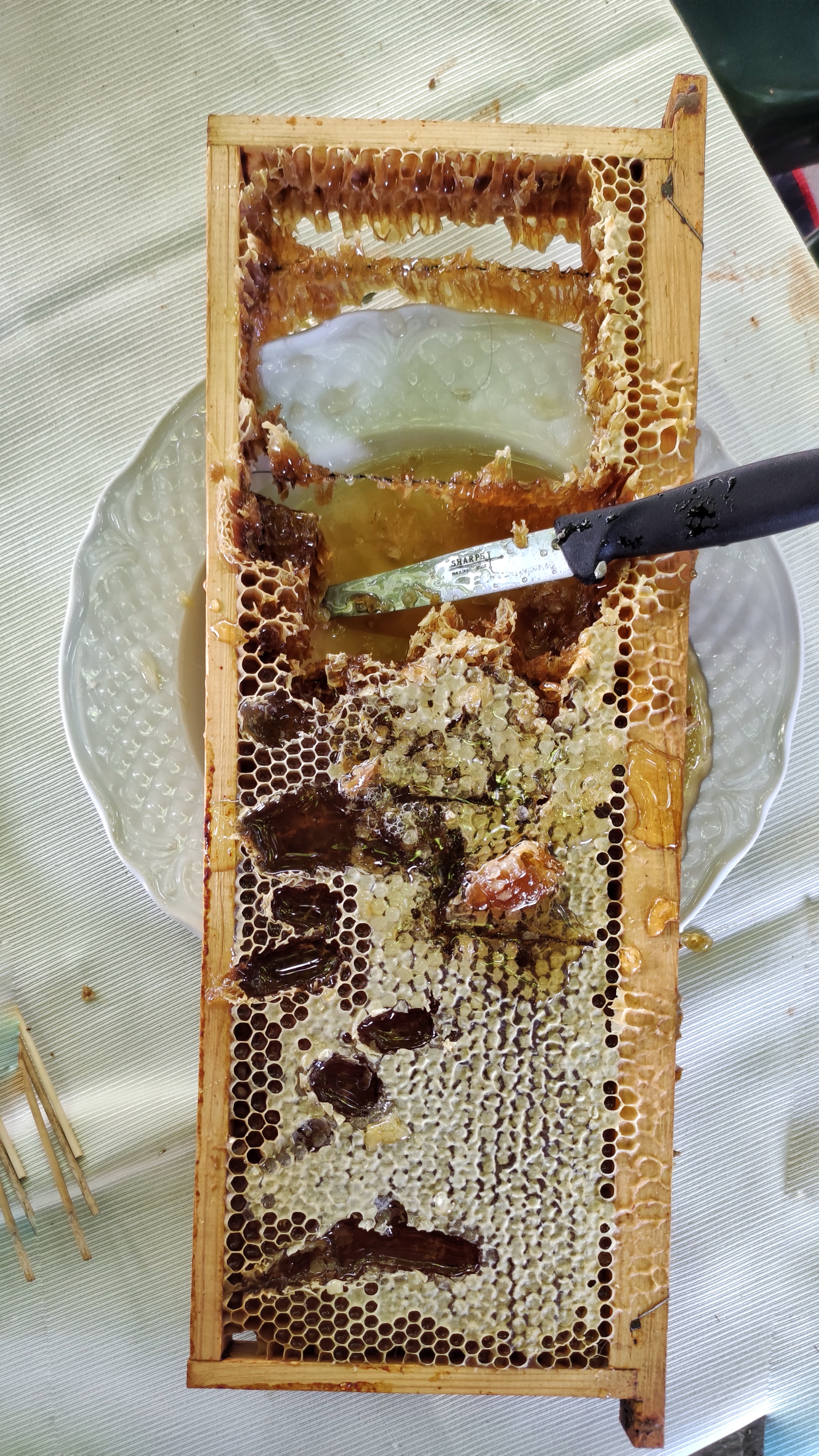 Un favo pieno di cera; si vedono le ditate e i pezzi mancanti che i bambini e le bambine hanno staccato per gustare il miele